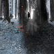 Illustration for article titled The Just-Released Wytches Comic Book Is Becoming a Movie